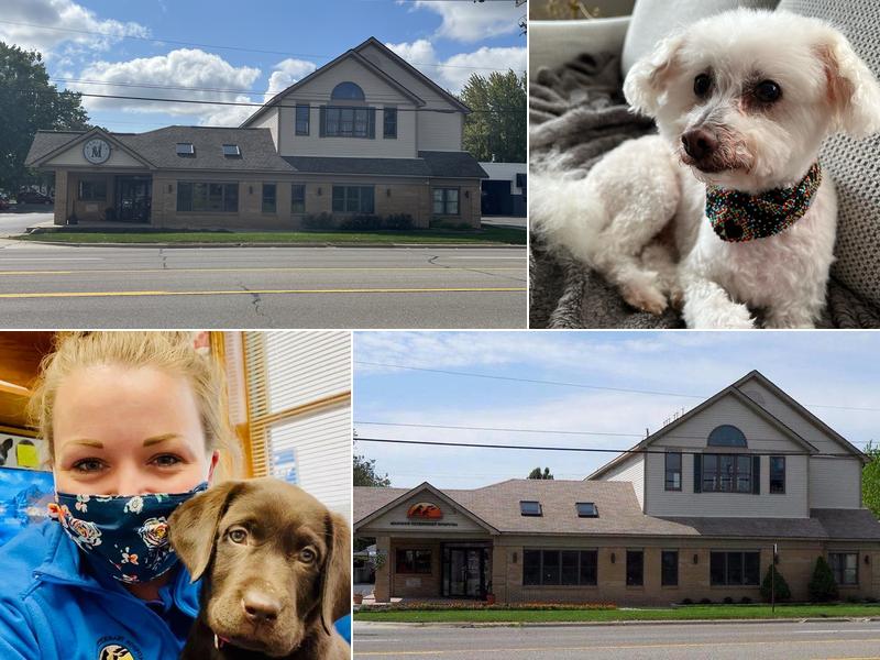 Madison Veterinary Hospital