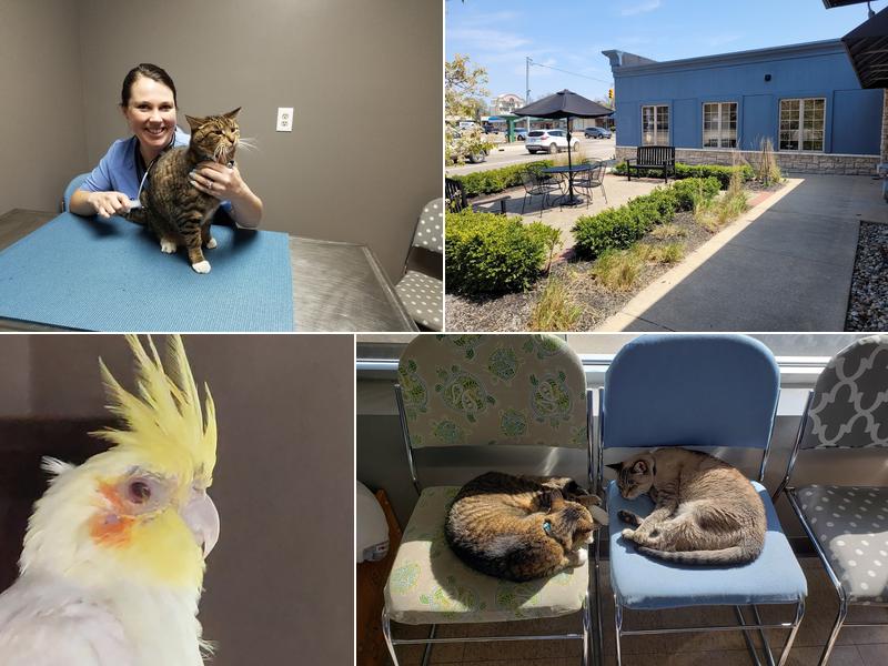 Ark Veterinary Hospital