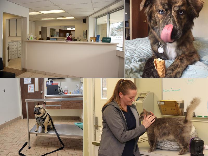 Gasow Veterinary Hospital