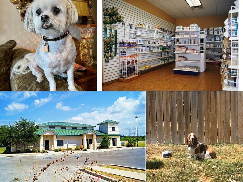 O'Connor Road Animal Hospital