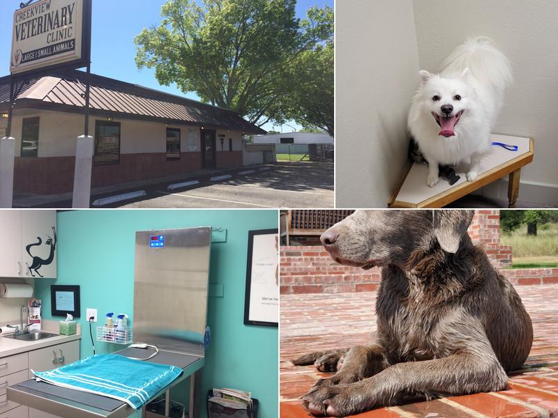 Creek View Veterinary Clinic, PLLC