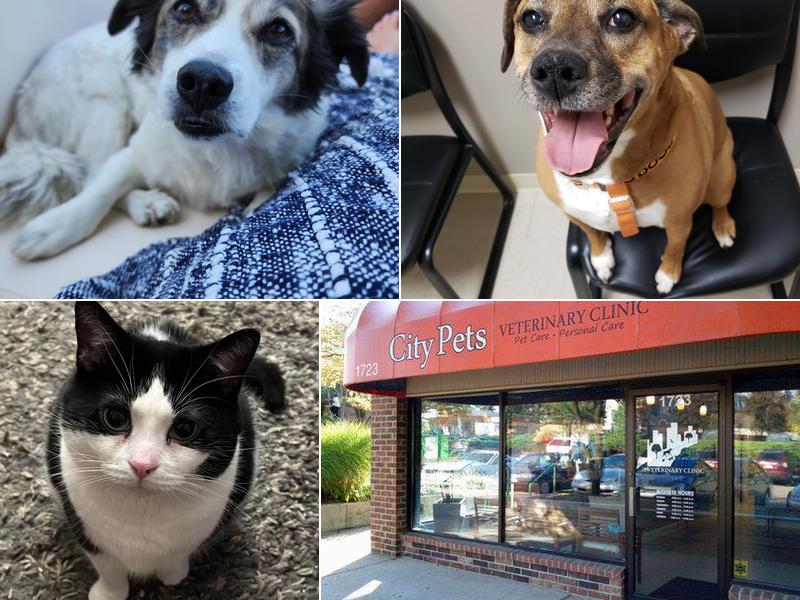 Uptown Veterinary Clinic