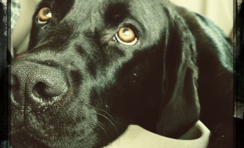 Parkway Animal Clinic