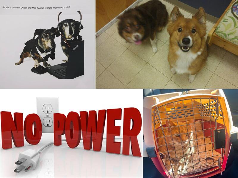 All Creatures Animal Clinic: Dr. Alexander, Dr. Zechar