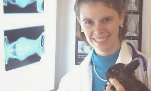 All Creatures Animal Clinic: Dr. Alexander, Dr. Zechar