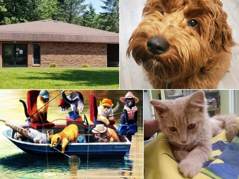 Dexter Animal Clinic: Danes Sandra DVM