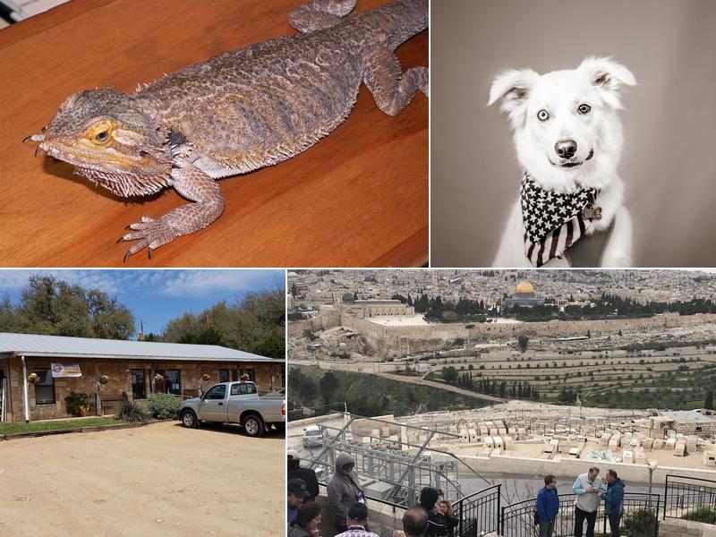 Wimberley Veterinary Clinic