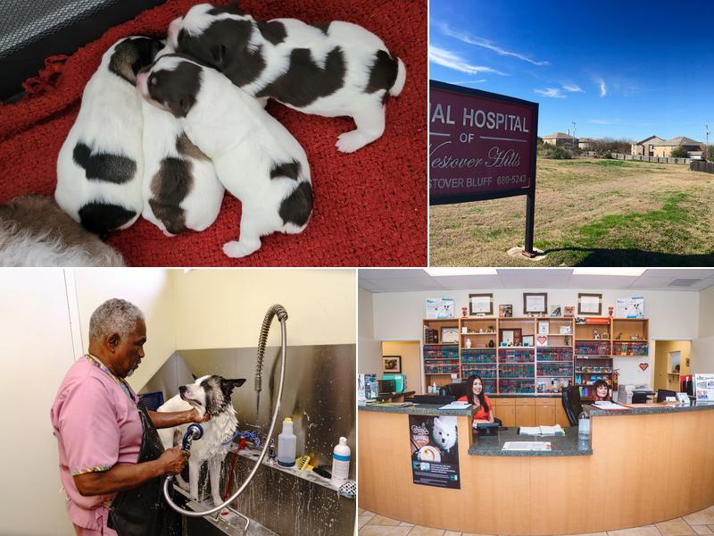 Animal Hospital of Westover Hills