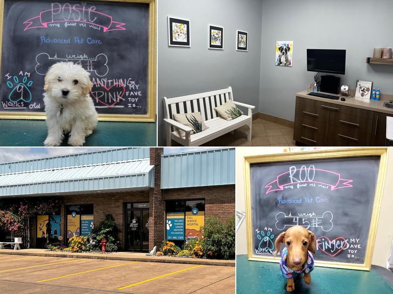 Advanced Pet Care of Clear Lake