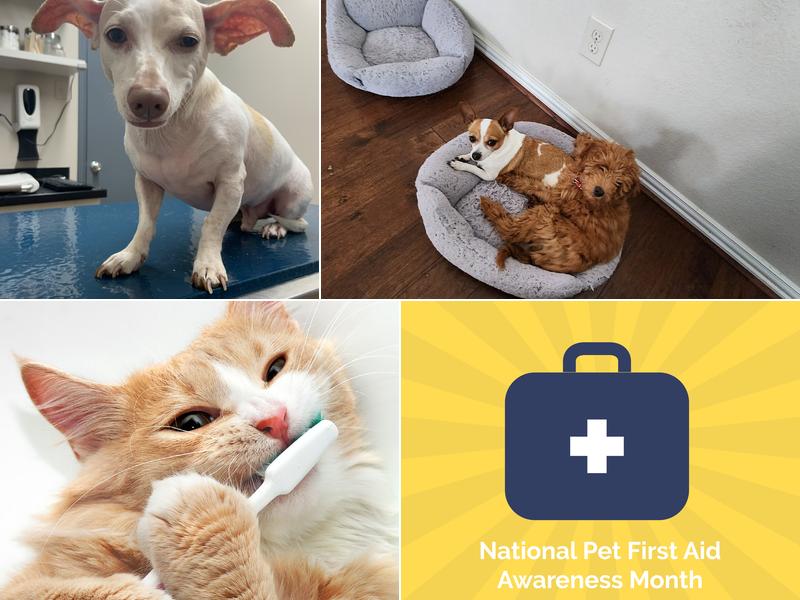 Underwood Animal Clinic