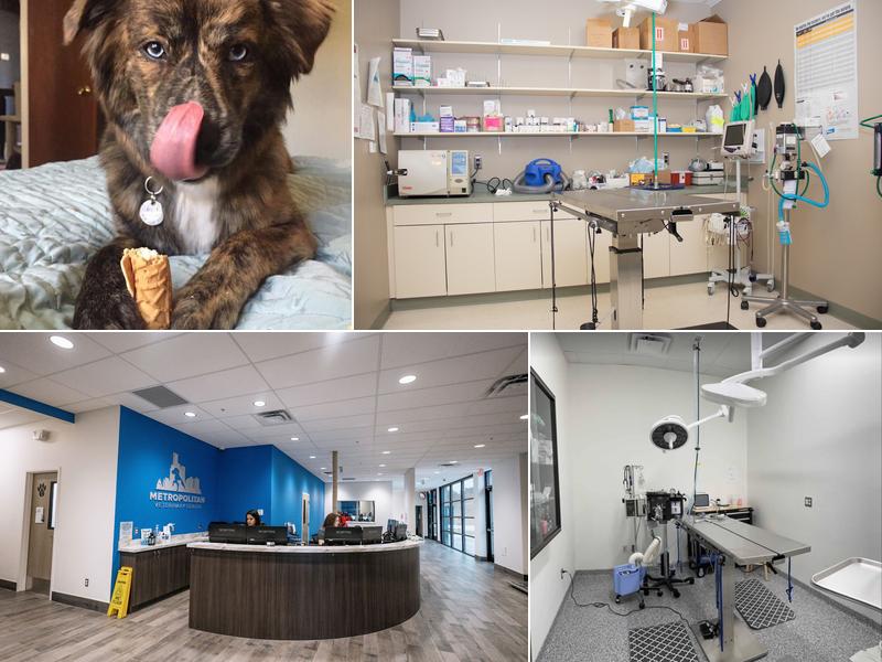 Metropolitan Veterinary Center