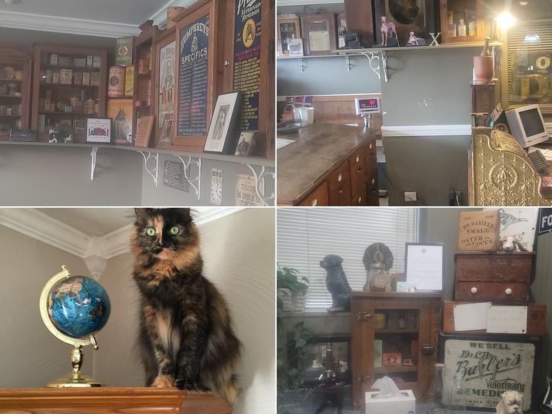 Bloomfield Animal Hospital