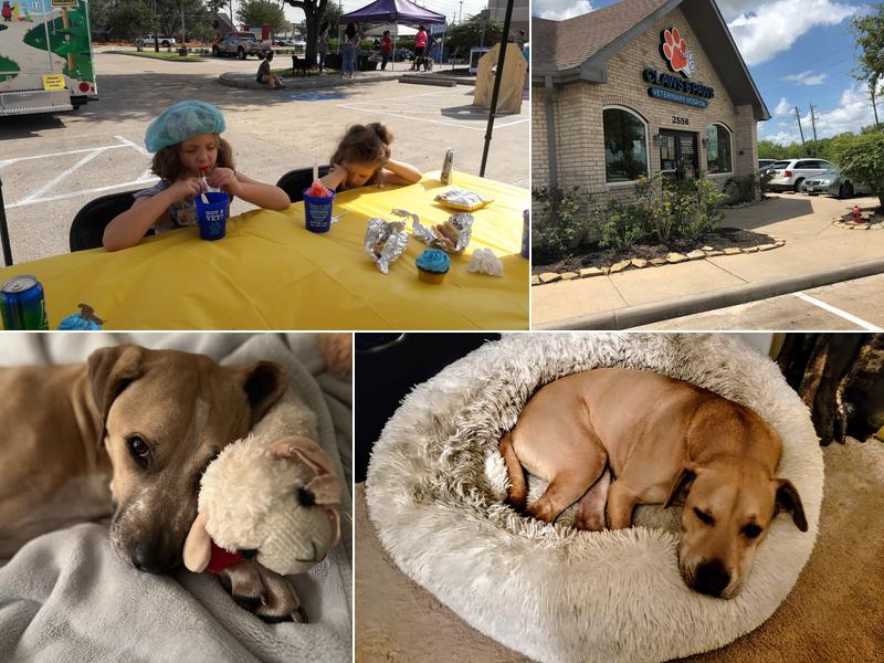 Claws & Paws Veterinary Hospital