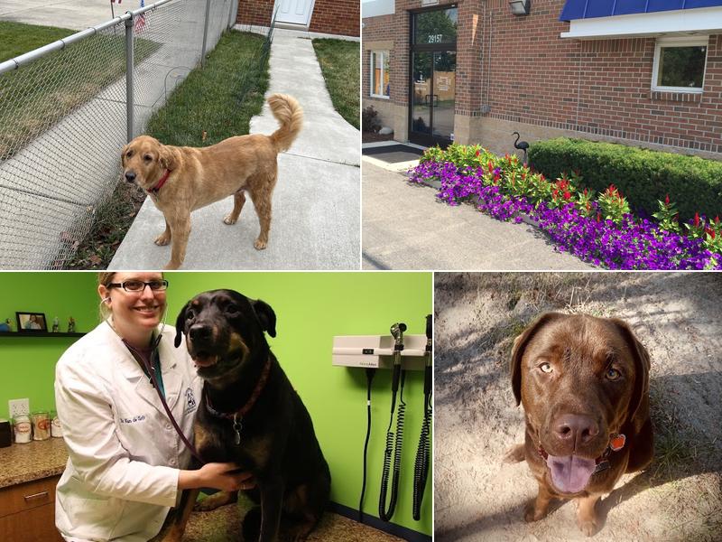 Warren Woods Veterinary Hospital