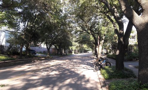 Bissonnet Veterinary Hospital