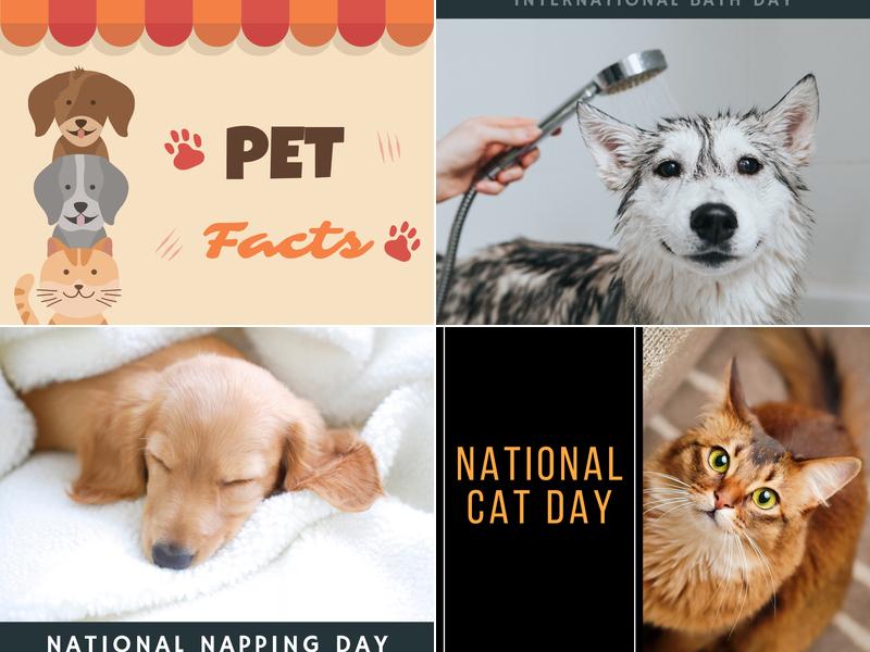 Paw Paw Veterinary Clinic: George April DVM