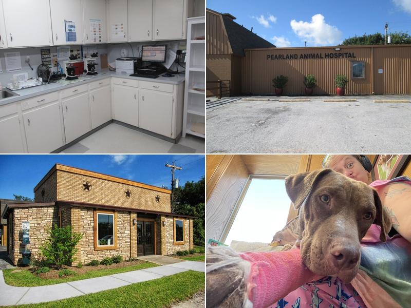 Pearland Animal Hospital
