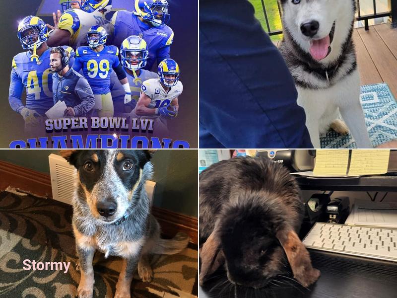 Moon Creek Veterinary Clinic