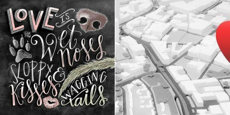 Ellsworth Veterinary Clinic