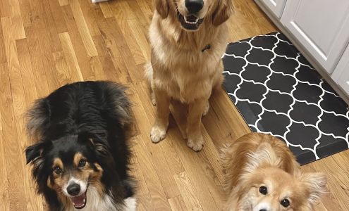 Crossroads Veterinary Clinic, LLC Versailles