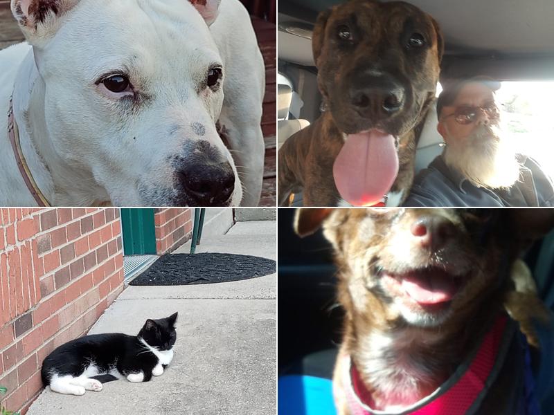 Buffalo Trace Veterinary Services