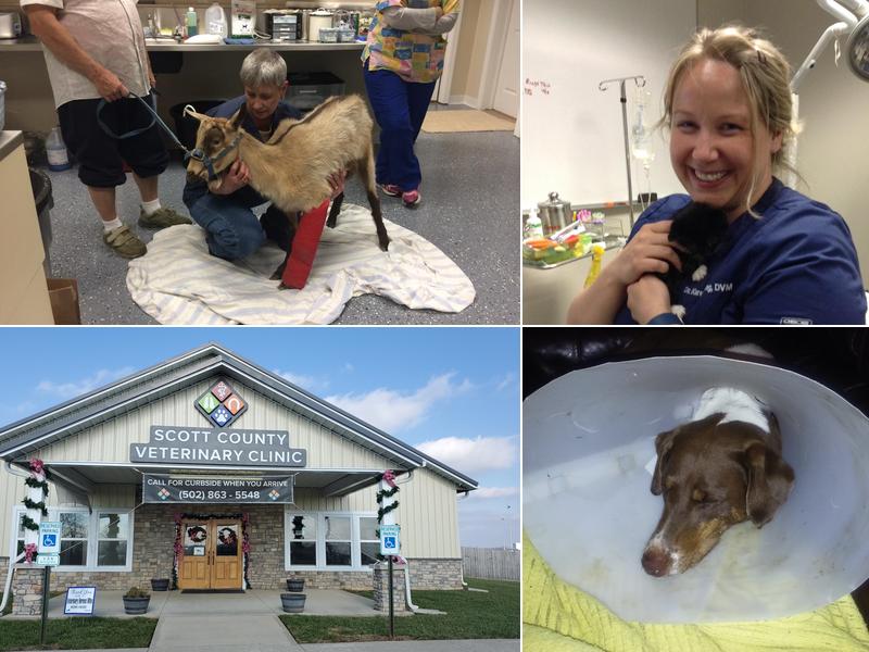 Scott County Veterinary Clinic