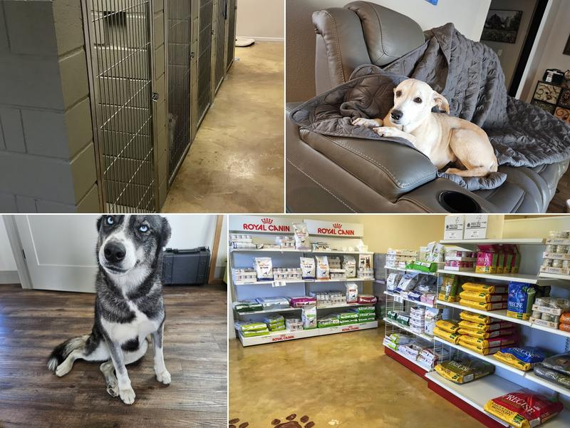 Startz Veterinary, PLLC