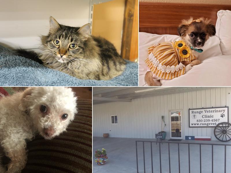 Runge Veterinary Clinic