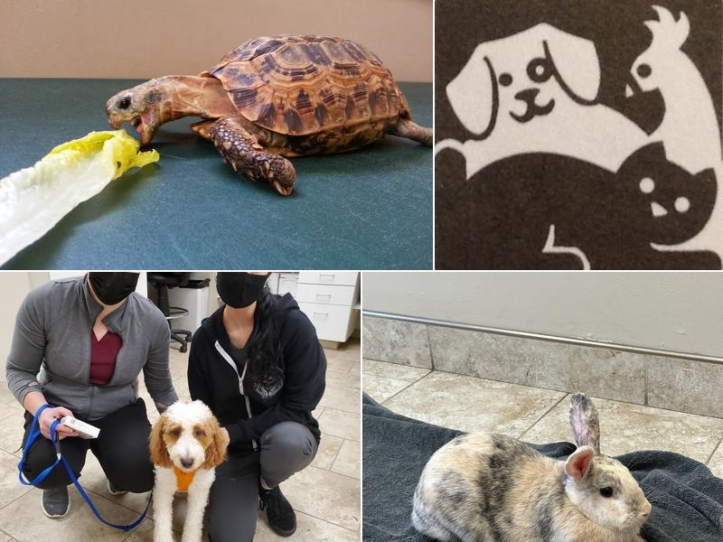 Cedar Creek Veterinary Clinic