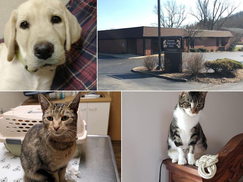 Donovan Veterinary Clinic