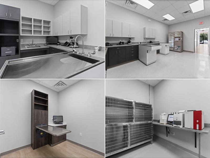 Animal Clinics Of The Woodlands - Cochran's Crossing