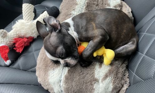 Champions Forest Animal Clinic