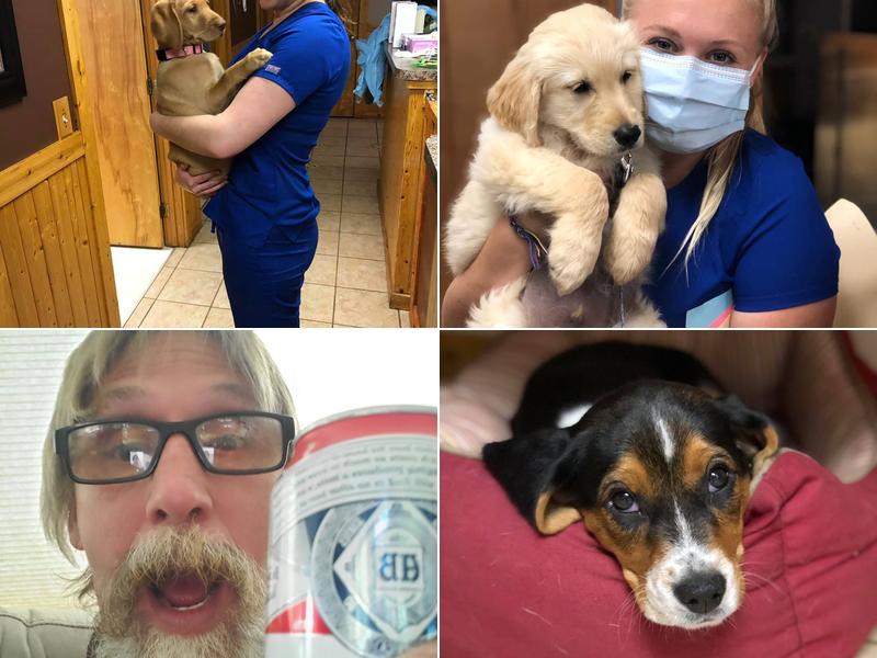 Eastman Animal Clinic: Hansen Ruth DVM