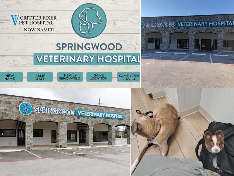 Springwood Veterinary Hospital