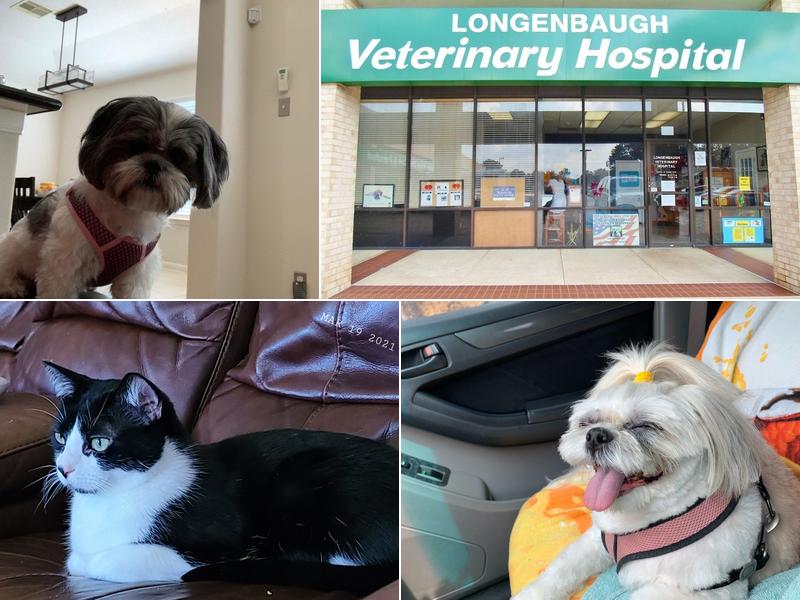 Longenbaugh Veterinary Hospital