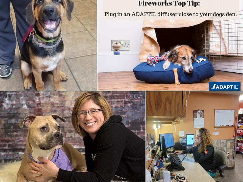 MICHELLE BARTUS, VMD pet veterinarian Belle Vernon PA