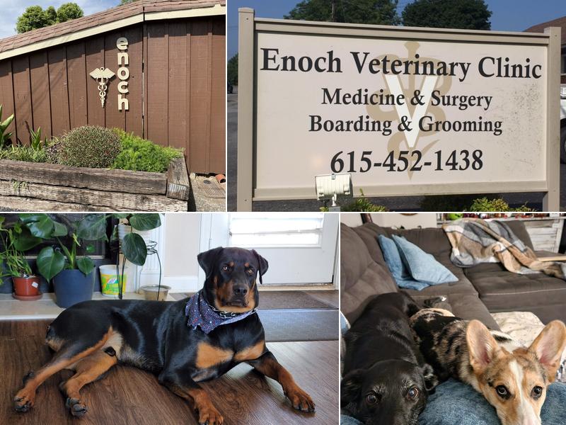 Enoch Veterinary Clinic