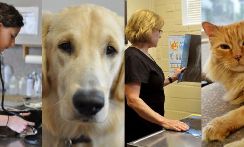 West Alabama Animal Clinic