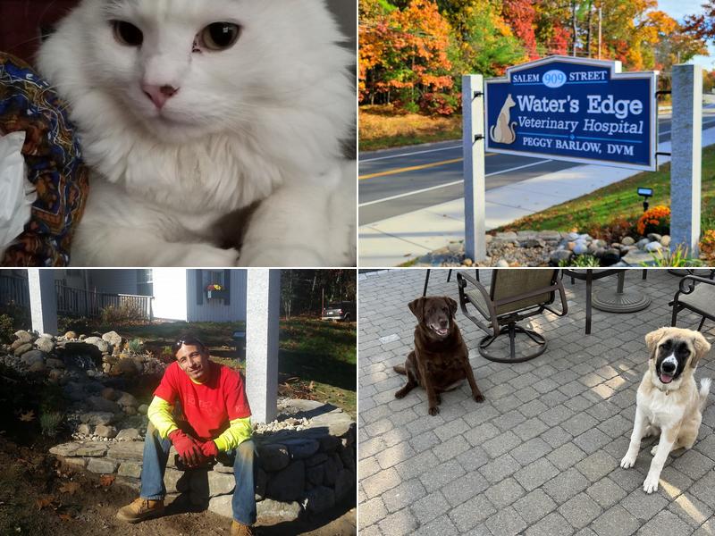 Water's Edge Veterinary Hospital