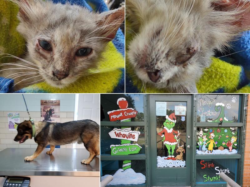 McGowan Veterinary Hospital