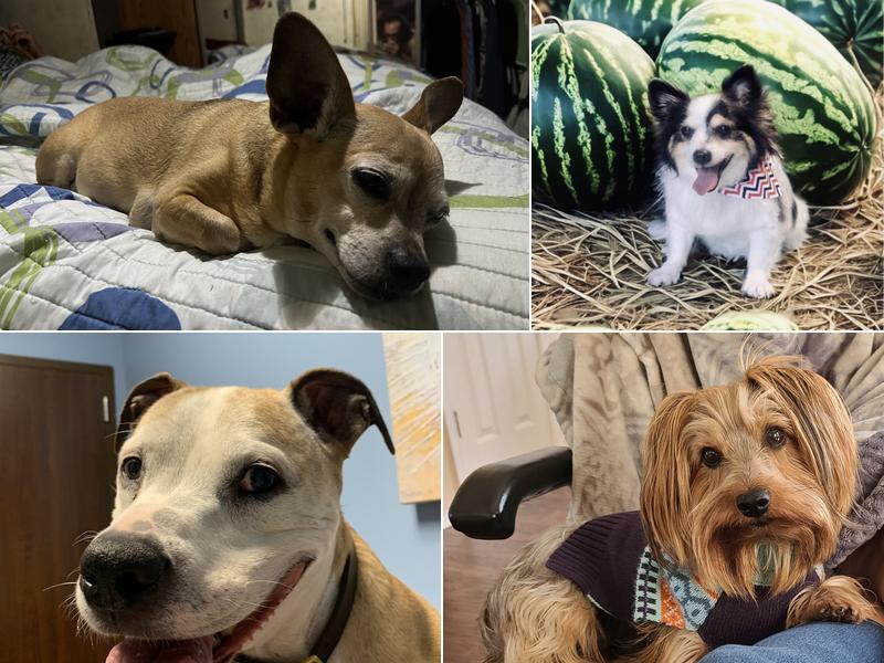 Winnie Veterinary Clinic