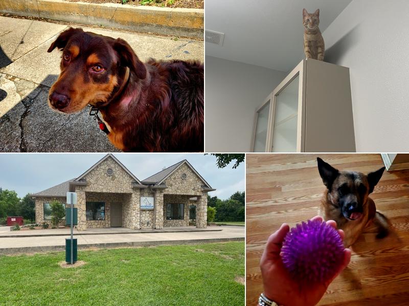 Stoneside Veterinary Hospital