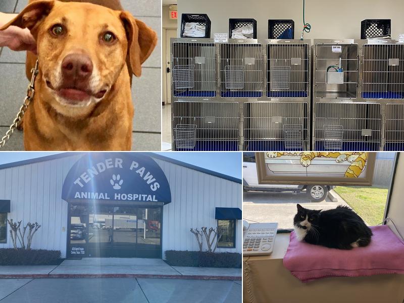 Tender Paws Animal Hospital