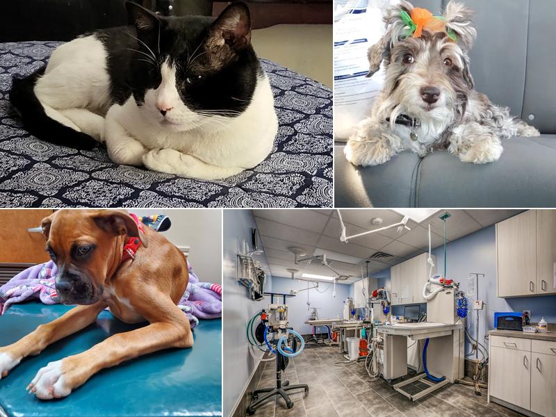 Hillside Veterinary Clinic