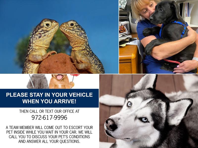 Mark L Stanfill, DVM