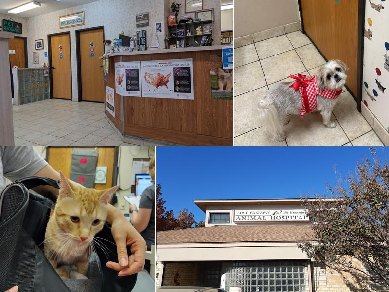 Love Freeway Animal Clinic