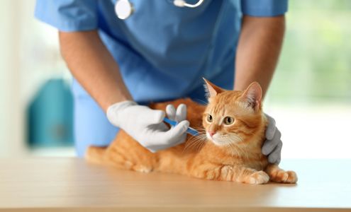 Community Pet Outreach