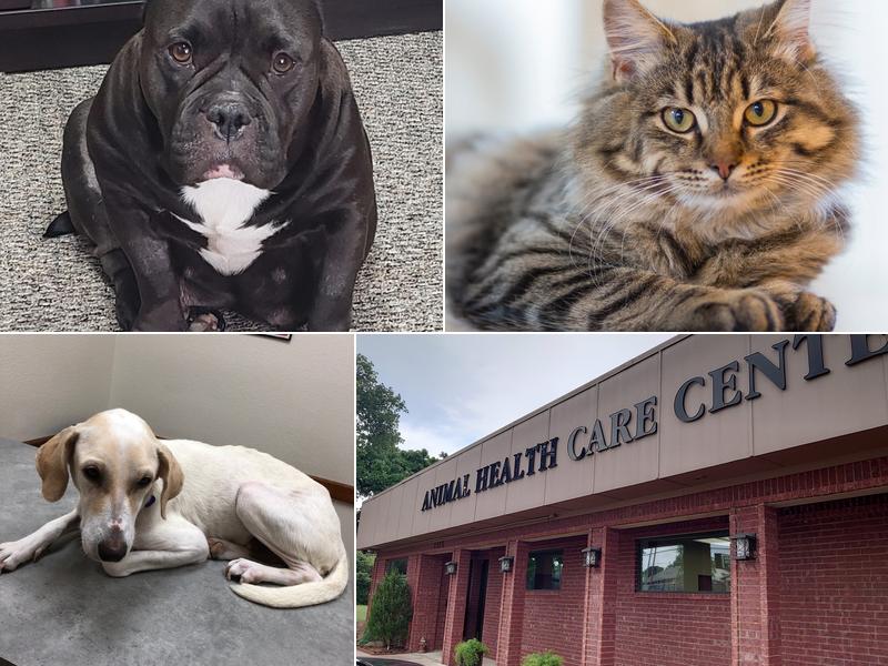 Animal Health Care Center