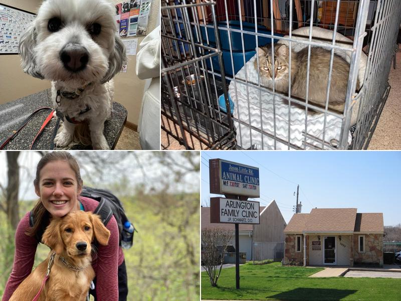 Jason-Little Road Animal Clinic