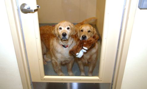 Shaker Hill Pet Resort